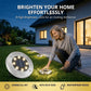 8-LED Solar Ground Lights for Outdoor Gardens