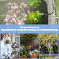 🌱40% OFF! 💧 Automatic Garden Irrigation System – 360° Adjustable, Misting, Water-Saving, Complete Set ✨