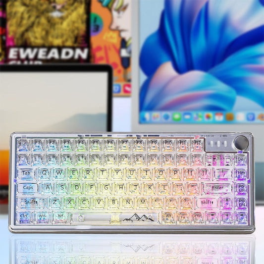 Universal Transparent Mechanical Keyboard with RGB Backlight✈️Free Delivery✈️