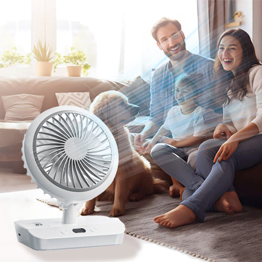 Desktop Oscillating Dual Head Fan