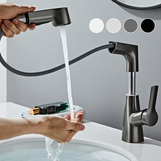 1 Hole Bathroom Faucet with Pull out Sprayer