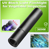 🛡️UV Black Light Flashlight for Vegetable Inspection