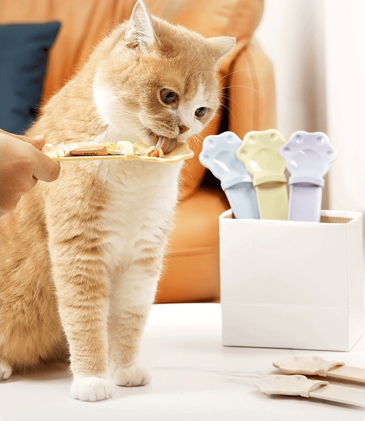 ✨Half-price discount🔥Cat Treat Squeeze Spoon