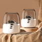 🧶Portable Rechargeable Fabric Shaver - 3-Speed Settings with LED Light for Sweaters & Upholstery Care 🔋✨