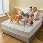 🌤️40% off!🛏️Waterproof Quilted Mattress Cover & Pillowcases Set
