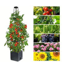 🌞40% OFF!🪵Garden Raised Bed Planter Boxes with Trellis