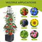 🌞40% OFF!🪵Garden Raised Bed Planter Boxes with Trellis