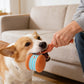 🎁2026 New Arrivals 40% OFF💥Interactive Rolling Ball Toy for Dogs