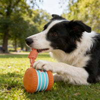 🎁2026 New Arrivals 40% OFF💥Interactive Rolling Ball Toy for Dogs