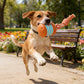 🎁2026 New Arrivals 40% OFF💥Interactive Rolling Ball Toy for Dogs