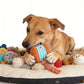 🎁2026 New Arrivals 40% OFF💥Interactive Rolling Ball Toy for Dogs