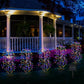 🥳2026 HOT SALE🥳💞50K+ SOLD!💥✨🌙 40% OFF! Solar Garden Lights – Creates warm, inviting glow for patios & yards. 8-10hrs illumination after full charge. Easy install, weatherproof. A beautiful touch to any outdoor space. 🏠💫
