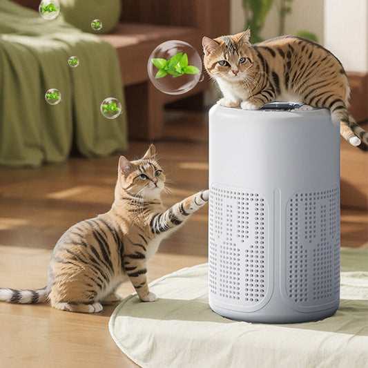 🌬️ 50% OFF! 🔥 Compact home air purifier – Quiet, energy-efficient, and perfect for allergy sufferers, dust, and pet hair 🏠