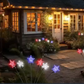 ☀️ New Arrival🌱Solar Powered Outdoor Garden Stake Light