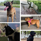 🐕 Heavy-Duty Tactical Dog Harness – No-pull & no-choke✨