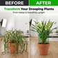 🌿 Plant Grow Rings ✅ Interlocking Support & Easy Setup | Keep Plants Upright Fast 🌱