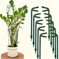 🌿 Plant Grow Rings ✅ Interlocking Support & Easy Setup | Keep Plants Upright Fast 🌱