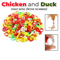 📢📢50% OFF !! ⏰Adjustable Snap-On Poultry Leg Bands