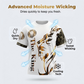 🦁 40% OFF! ✨ Men's Lion Graphic Set – Bold, Breathable, Urban Cool 😎