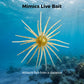 Bionic Sea Urchin Soft Fishing Lure