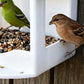 🐦🏡Hanging House Bird Feeder for Outdoor Gardens