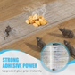 📢📢50% OFF !! ⏰1.2M Large Transparent Mouse Trap