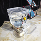 🦮 5L Extra-Large Pet Fountain — Great for 3+ Pets | Gravity-Fed | Non-Slip Base
