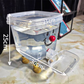 🦮 5L Extra-Large Pet Fountain — Great for 3+ Pets | Gravity-Fed | Non-Slip Base