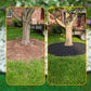 Garden Edging Roll 10m with 30 Pegs🏡Roll It Out, Peg It Down – Neat Borders in Minutes ✨