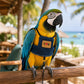 ☁️Breathable Pet Bird Harness Vest