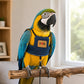 ☁️Breathable Pet Bird Harness Vest
