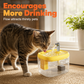 🐾💧  Flowing Pet Water Fountain – Food Grade PET Bowl, Visible Water Level and Easy Clean Design