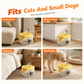 🐾💧  Flowing Pet Water Fountain – Food Grade PET Bowl, Visible Water Level and Easy Clean Design