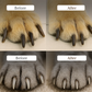 ✂️ 50% OFF NOW! 🐾 Pet Nail Clippers with LED Light – Precision blade, built-in light & safety guard – Stress-free grooming for dogs & cats at home 🛁