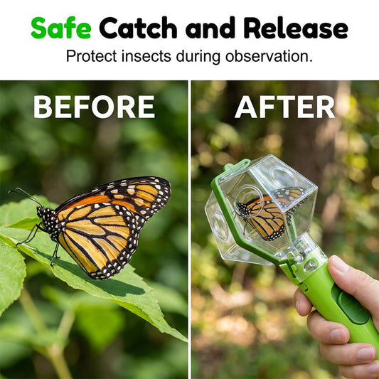 🐞 Interactive Bug Catcher for Kids – Clear Observation, Catch & Release 🌱