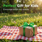 🐞 Interactive Bug Catcher for Kids – Clear Observation, Catch & Release 🌱