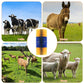 🐎Livestock Full Massage Grooming Scratching Brush