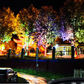 🌳💡Ring-Shaped Solar Tree Lights – Weatherproof Outdoor Spotlights Ideal for Trees, Pillars, and Gardens