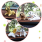 Cute Dog Bobblehead – Nods Along Every Turn – 10 Breeds, Soft Plush, Gold Chain – Brings Smiles to Every Drive 🚗