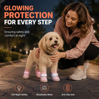 Stylish Breathable Dog Shoes with LED Lights