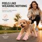Stylish Breathable Dog Shoes with LED Lights