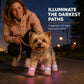Stylish Breathable Dog Shoes with LED Lights
