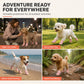 Stylish Breathable Dog Shoes with LED Lights