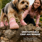 Stylish Breathable Dog Shoes with LED Lights