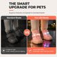 Stylish Breathable Dog Shoes with LED Lights