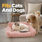 🛋️🐾 Cozy Sofa Pet Bed – 50% OFF! Secure edges, soft plush fabric, modern design – perfect for cats & dogs. 🐕