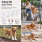 🐾 🐕 Disposable Dog Shoe Covers – Dirt-proof, non-slip & wear-resistant ✨