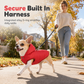 🐕 Hooded Dog Coat – Fleece‑lined, windproof & built‑in harness 🧥✨