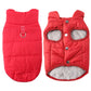 🐕 Hooded Dog Coat – Fleece‑lined, windproof & built‑in harness 🧥✨