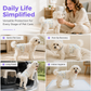🐕 Ultra‑Absorbent Breathable Disposable Pet Diapers🛡️✨